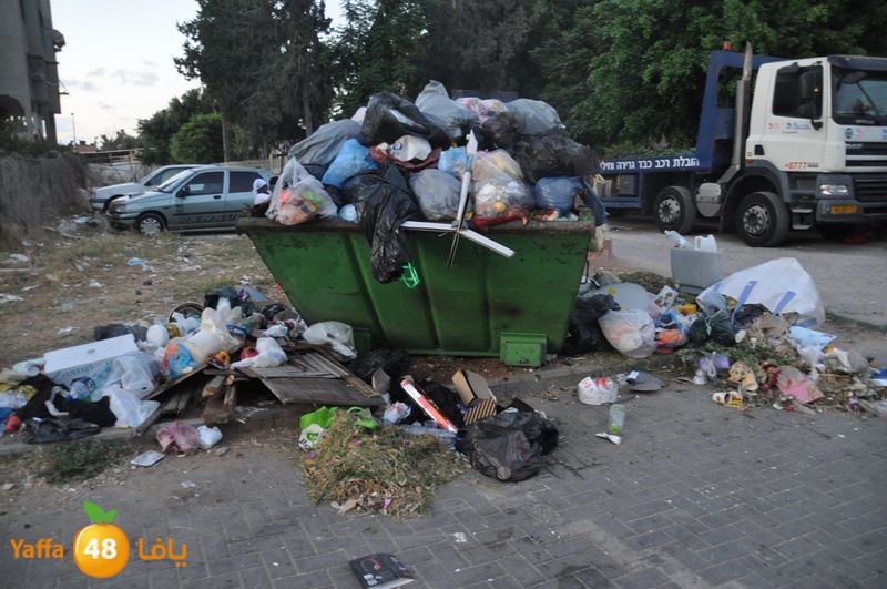 trash lud 907 (4).JPG